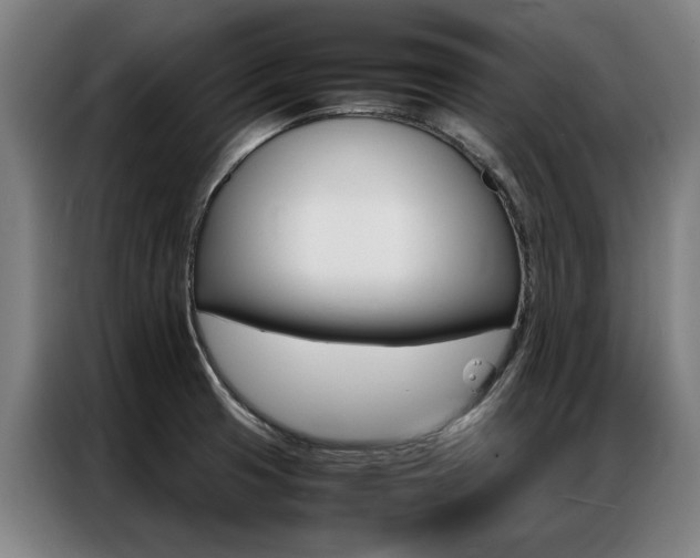 X0000087311425200704200708