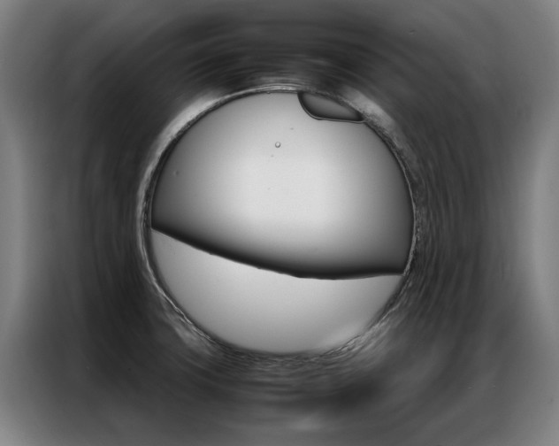 X0000087311427200704200708