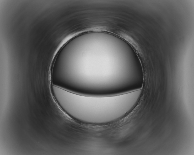 X0000087311428200704200708