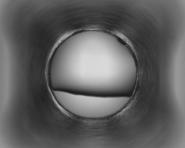 X0000087311429200704200708