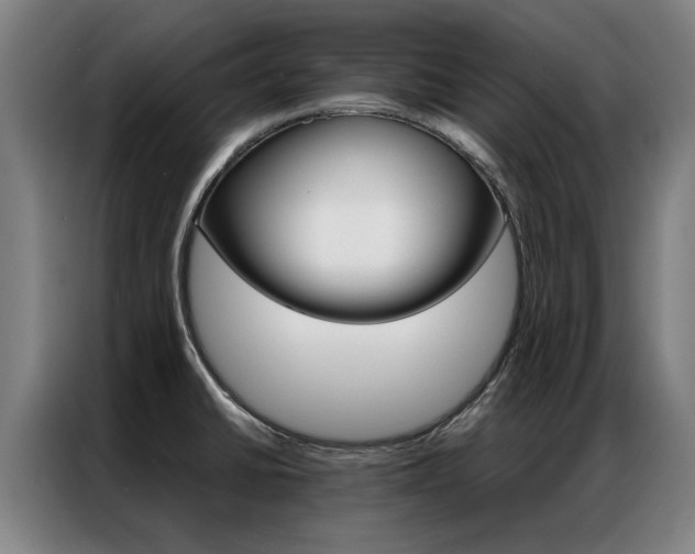 X0000087311430200704200708