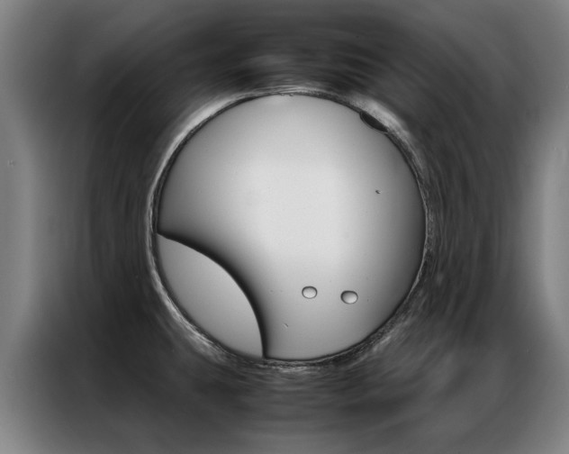 X0000087311431200704200708
