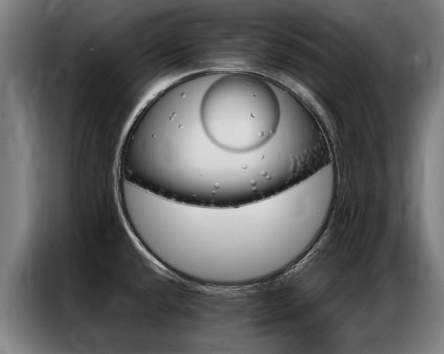 X0000087311432200704200708