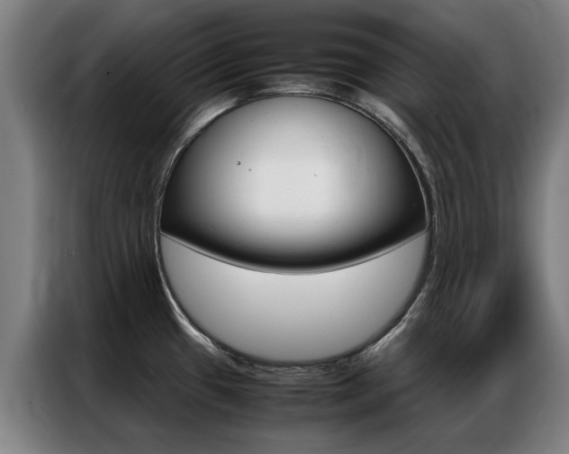 X0000087311433200704200708