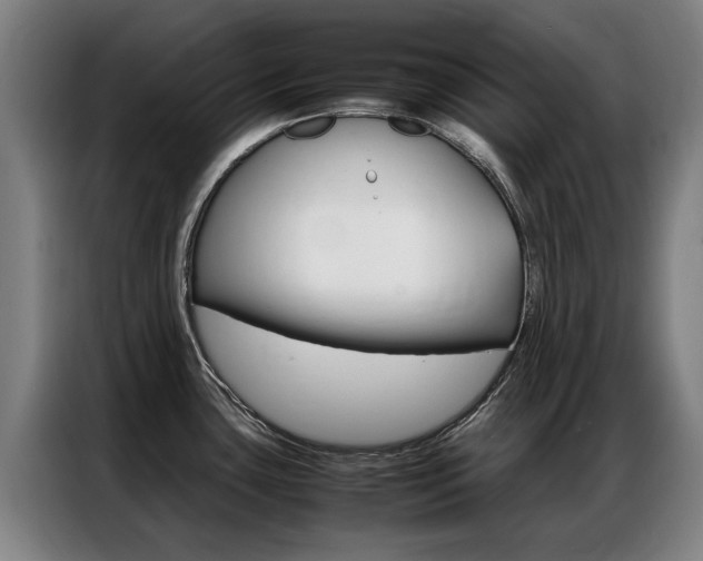 X0000087311435200704200708