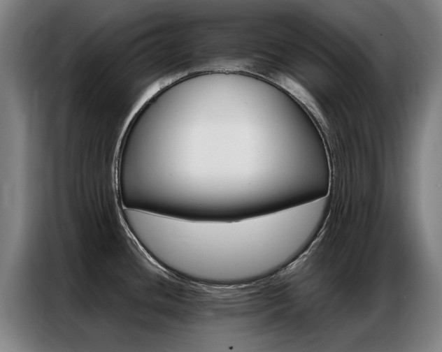 X0000087311436200704200708