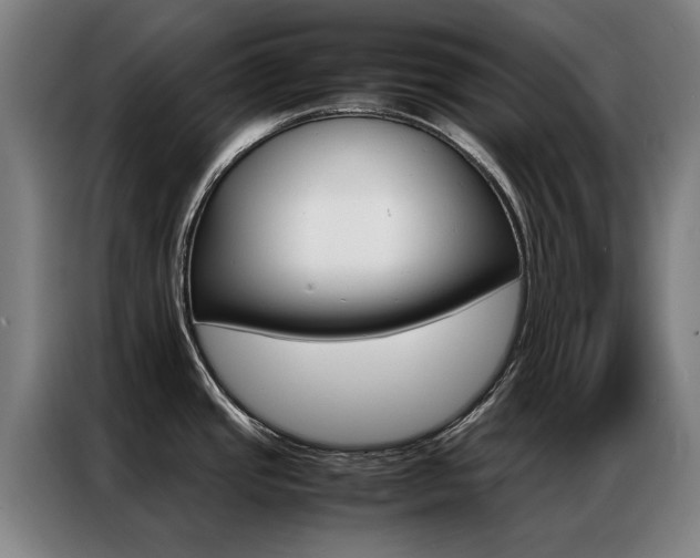 X0000087311437200704200708