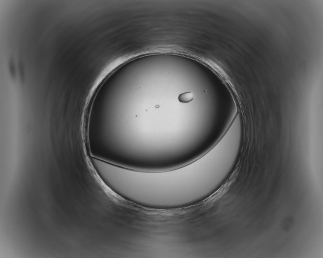 X0000087311438200704200708