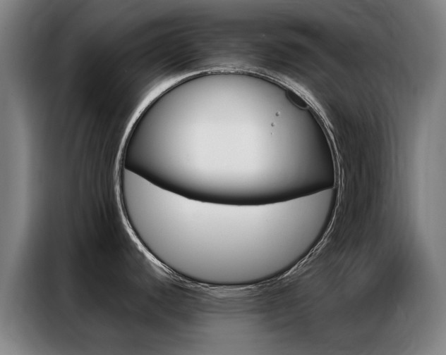 X0000087311440200704200709