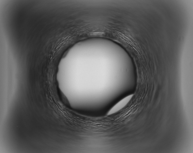 X0000087311441200704200708