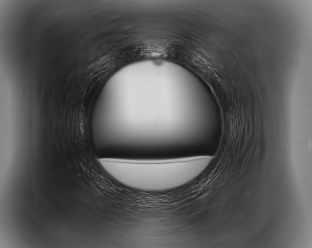 X0000087311442200704200708