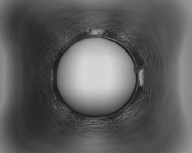 X0000087311443200704200708