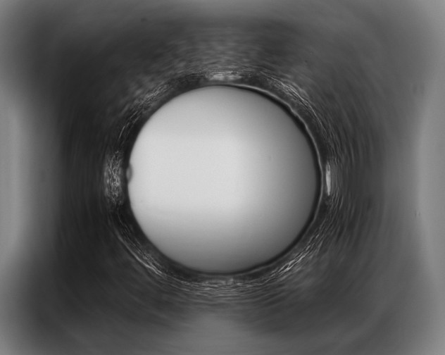 X0000087311444200704200708