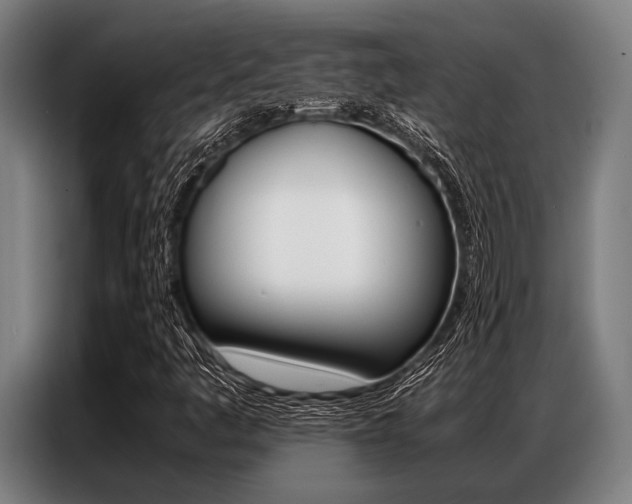 X0000087311445200704200708