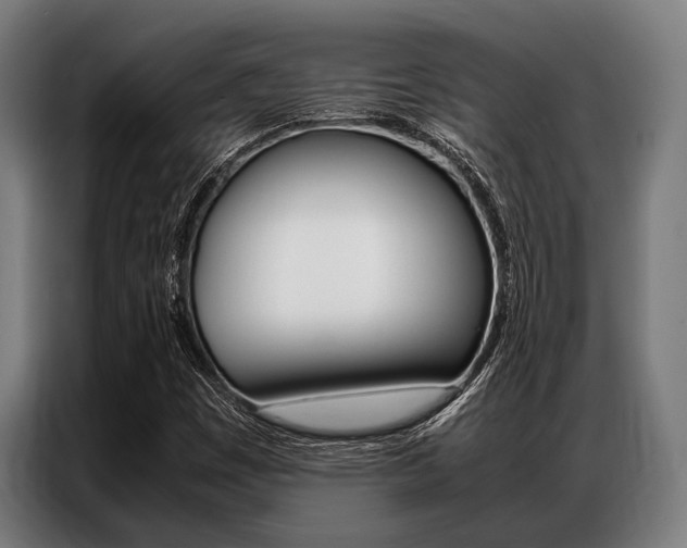 X0000087311449200704200708