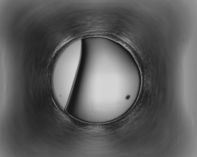 X0000087311450200704200708
