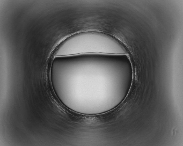 X0000087311452200704200708