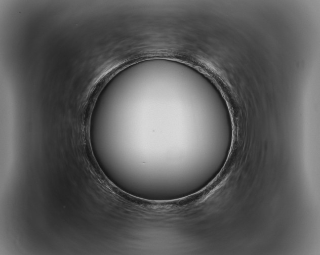 X0000087311453200704200708
