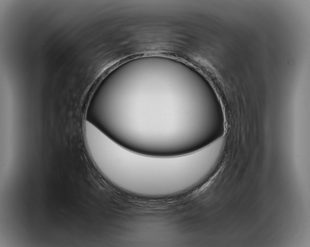 X0000087311457200704200708