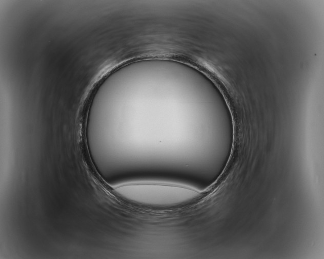 X0000087311459200704200708