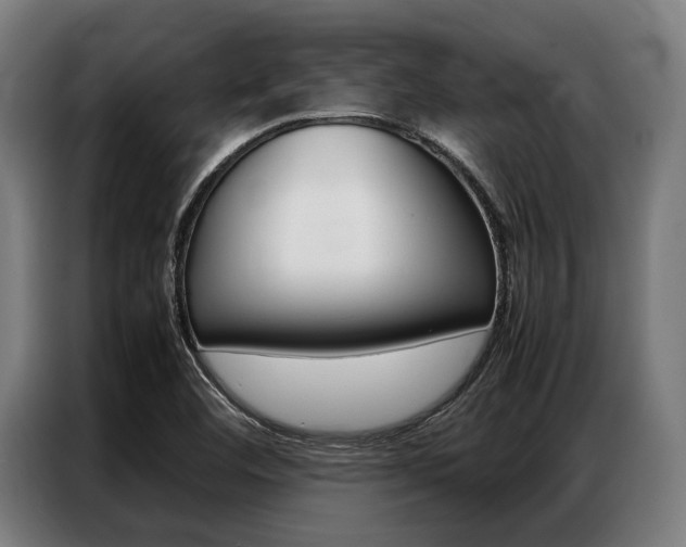 X0000087311460200704200707