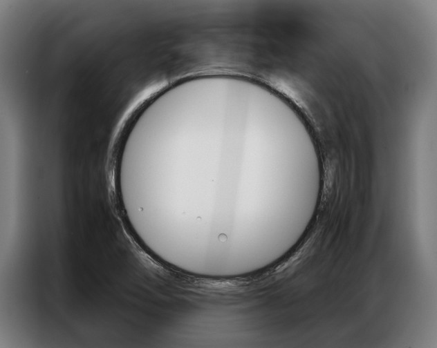 X0000087311462200704200707