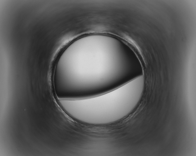 X0000087311464200704200707