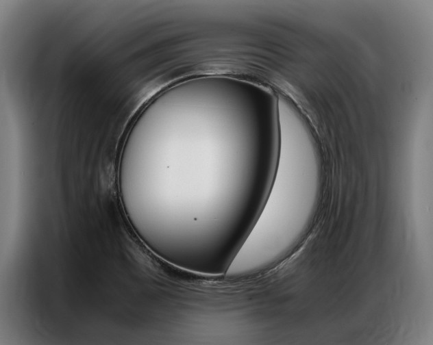 X0000087311465200704200707