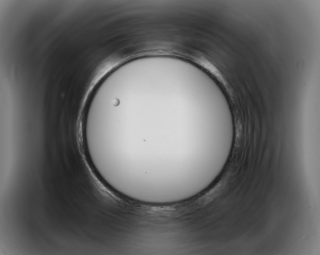 X0000087311466200704200707