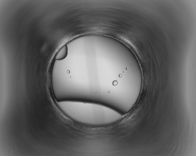 X0000087311467200704200707