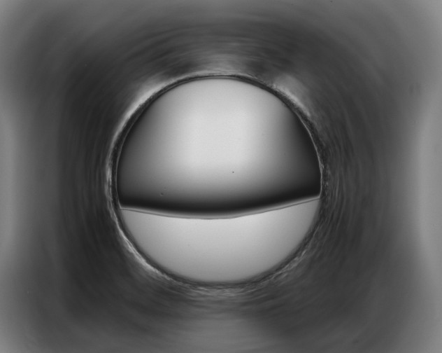 X0000087311468200704200707
