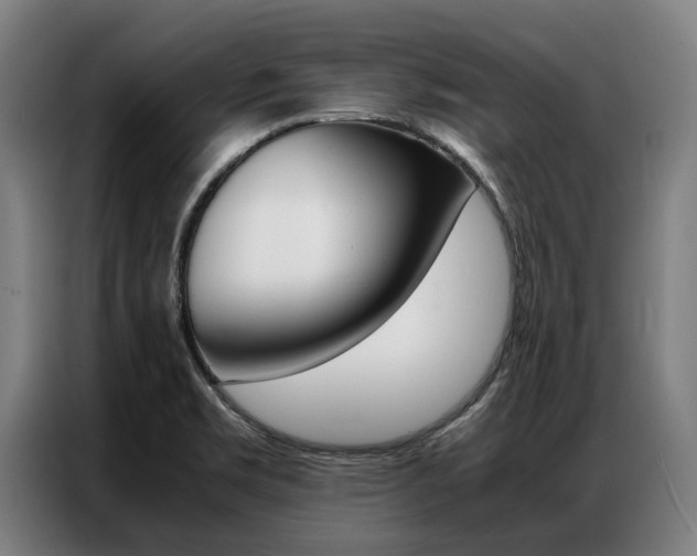 X0000087311469200704200707
