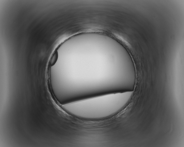X0000087311471200704200707