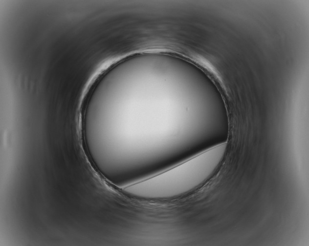 X0000087311472200704200707