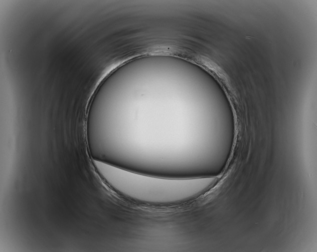 X0000087311473200704200707