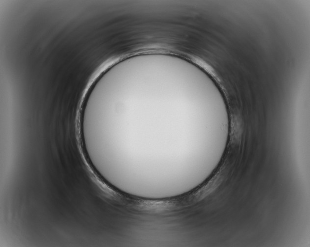 X0000087311474200704200707