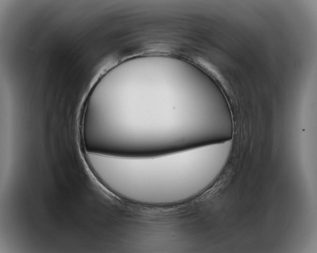 X0000087311475200704200707