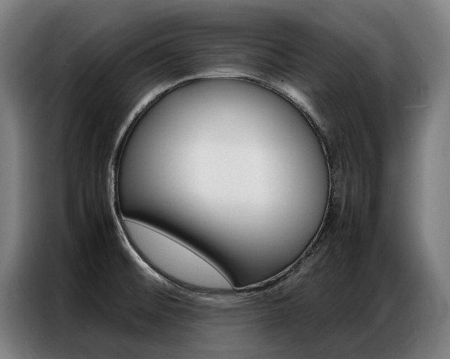 X0000087311476200704200707