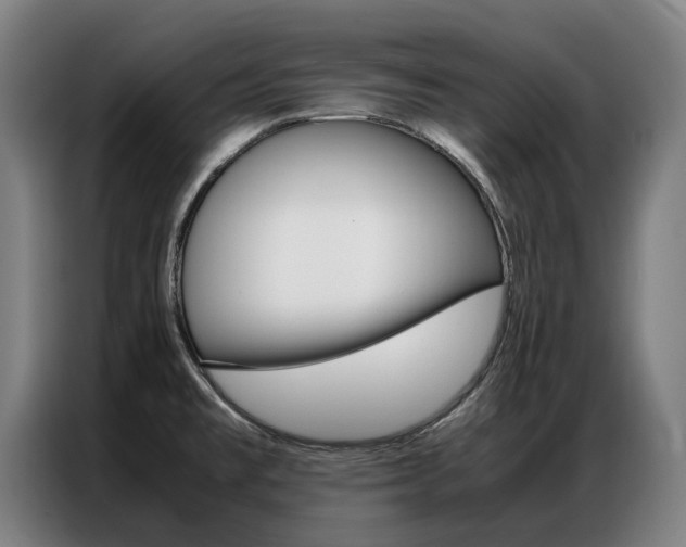 X0000087311477200704200707