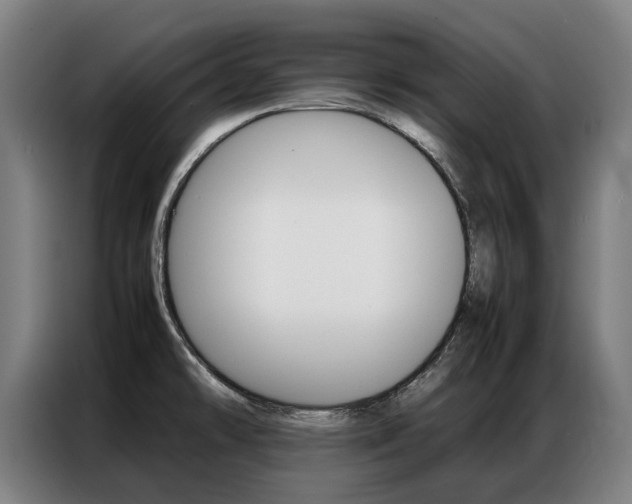 X0000087311478200704200707