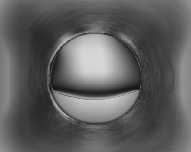 X0000087311479200704200707
