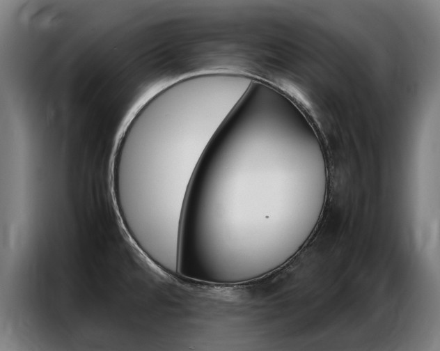 X0000087311480200704200707