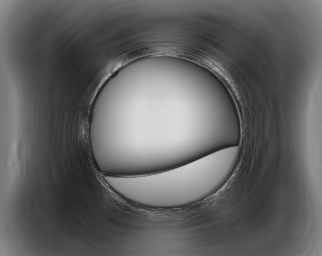 X0000087311481200704200707