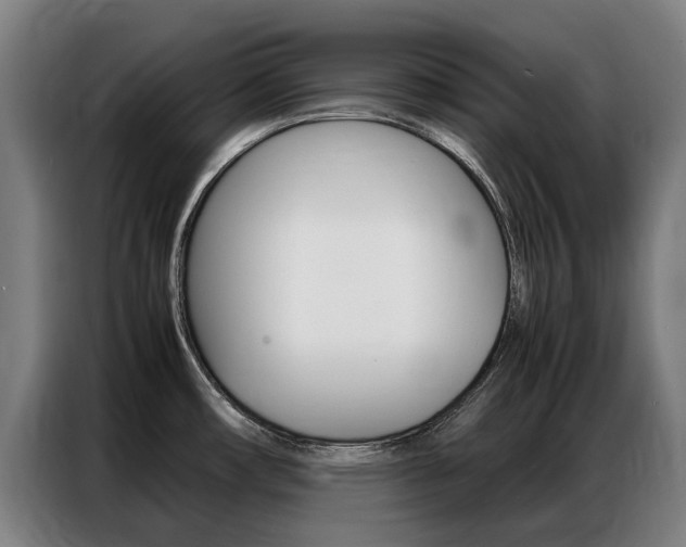 X0000087311482200704200707