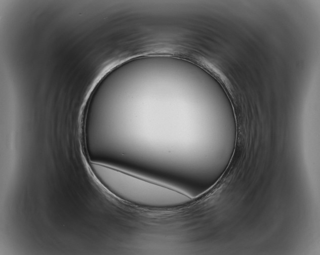 X0000087311483200704200707