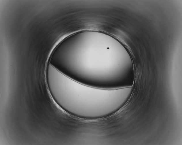 X0000087311484200704200707