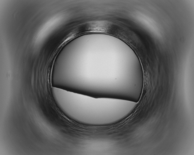 X0000087311487200704200707