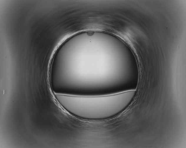 X0000087311488200704200707