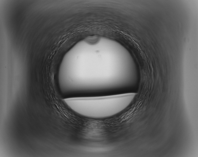 X0000087311489200704200706