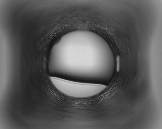 X0000087311491200704200706